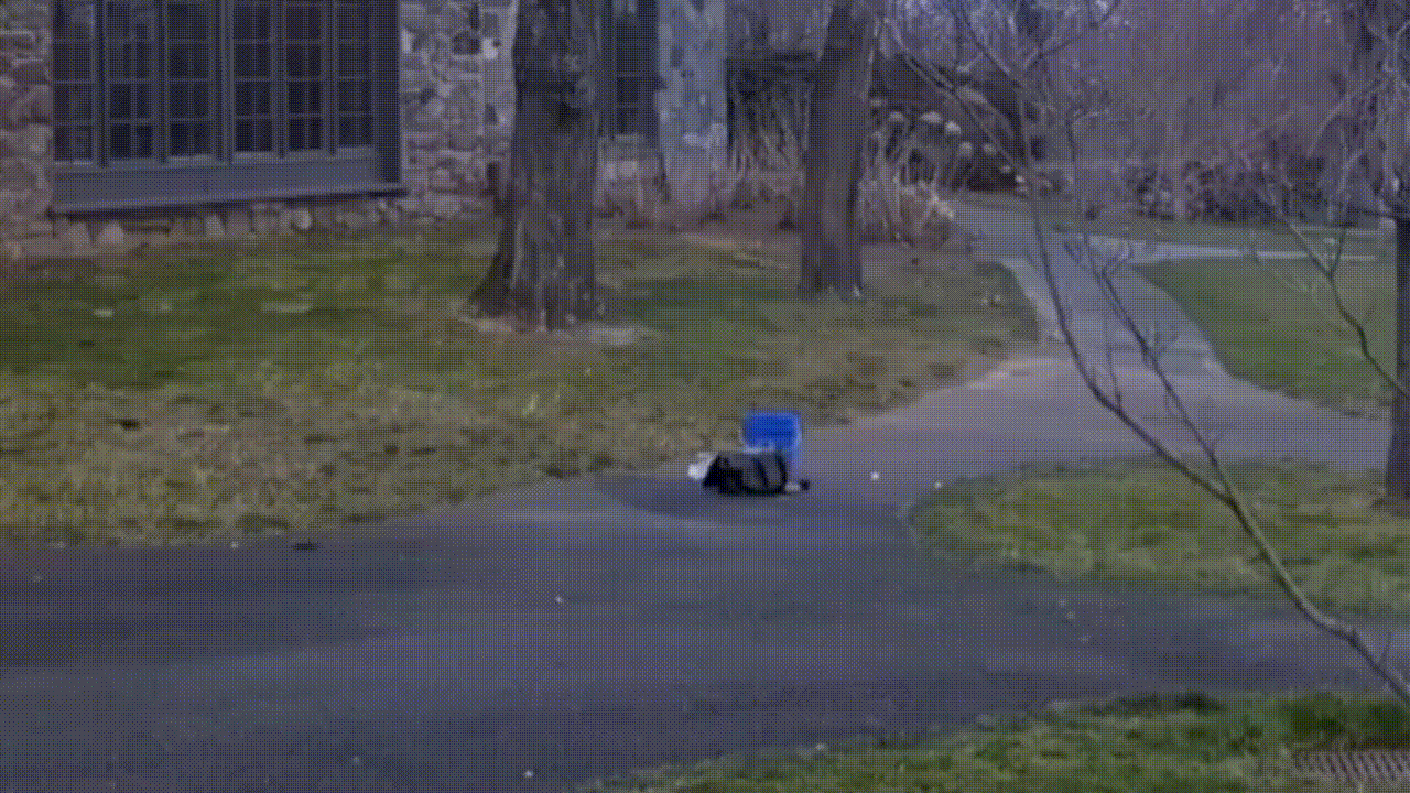 A paint bucket with ping pong balls and dry ice explodes causing the ping pong balls to fly everywhere