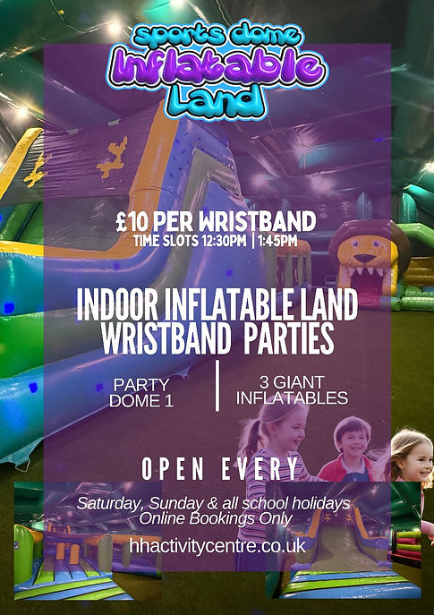 Indoor Inflatable Land poster 2026.jpg