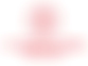 Türk Mutfağı Yılı