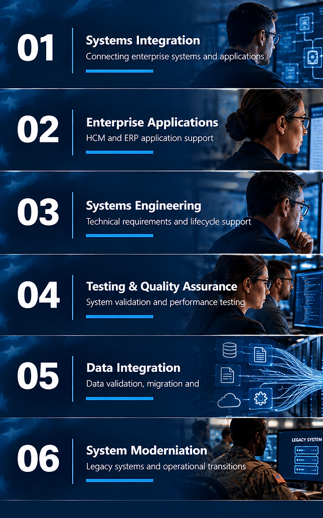 Government IT Services Overview.png