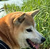 S__7503981_0.jpg