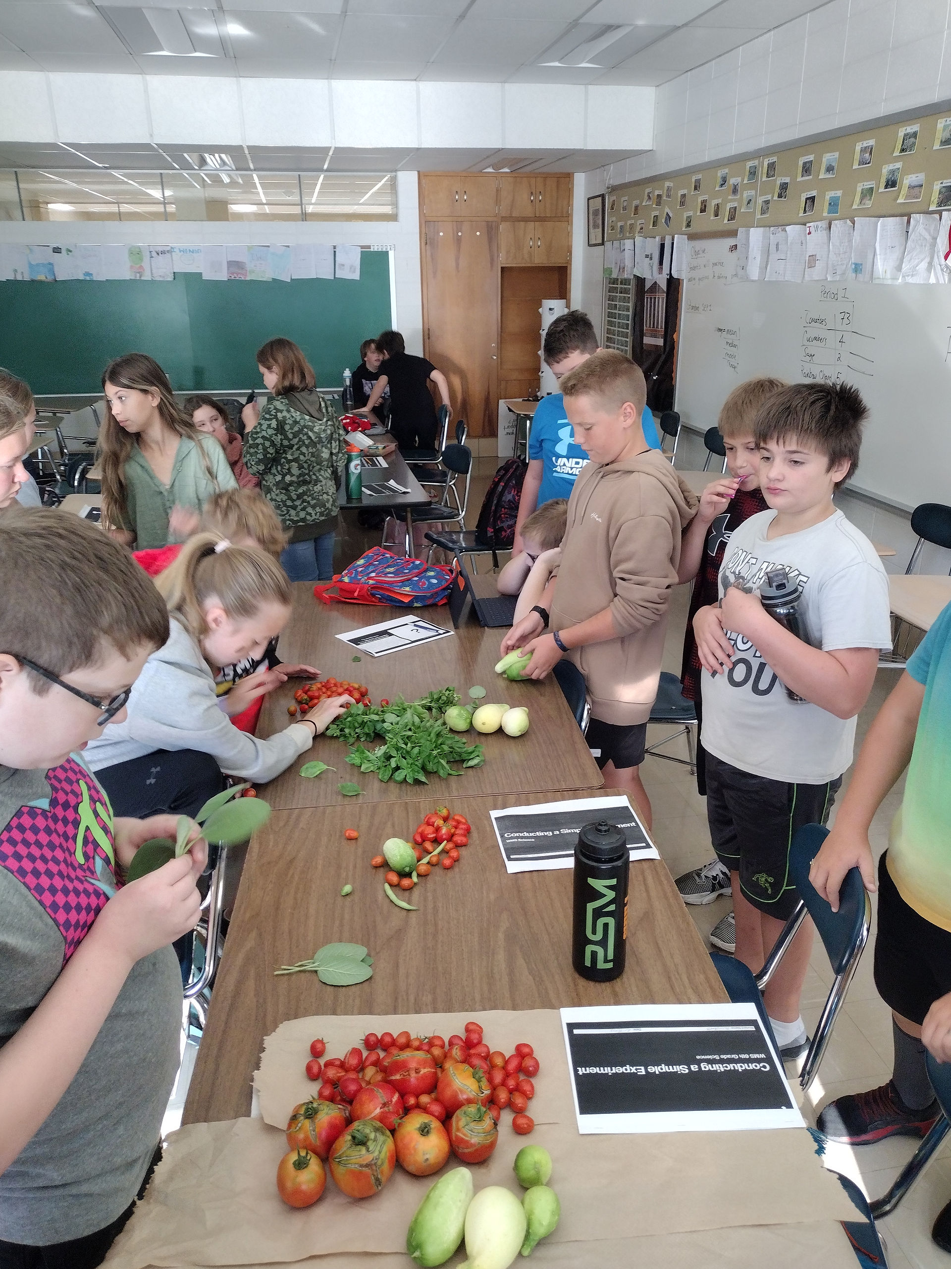 Students harvesting food