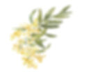 Untitled design (48)_edited.jpg