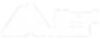 mt saini - logo-6.png