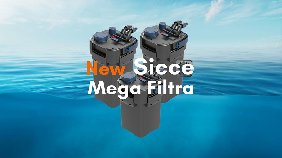 Three gray filters against a serene blue ocean background. Text: "New Sicce Mega Filtra" in bold orange and white.