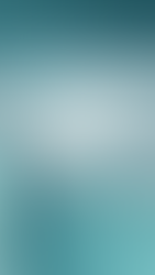 Essential Guide to Cold-Weather Fish Transport and Acclimation Techniques