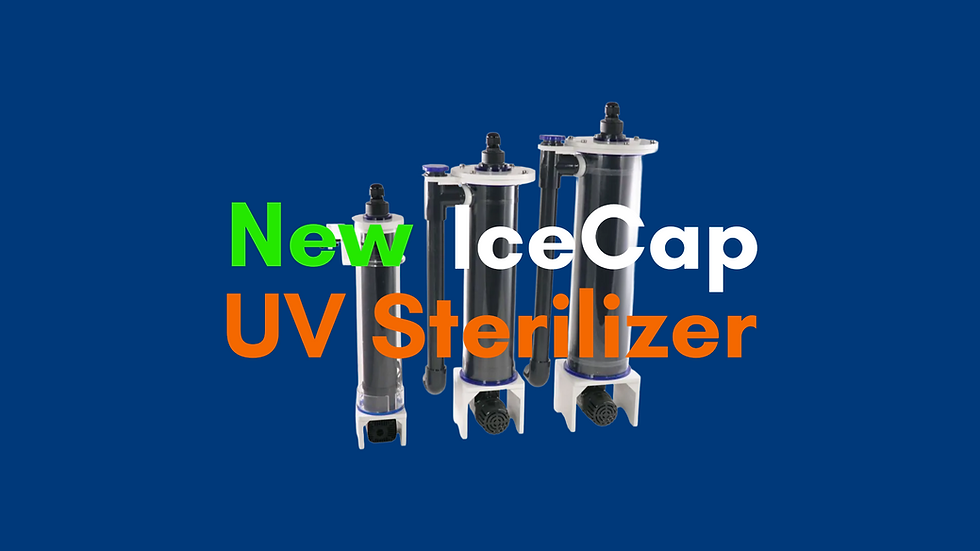 Marine Concept Supply banner introducing the Sicce Mega Filtra aquarium filtration line