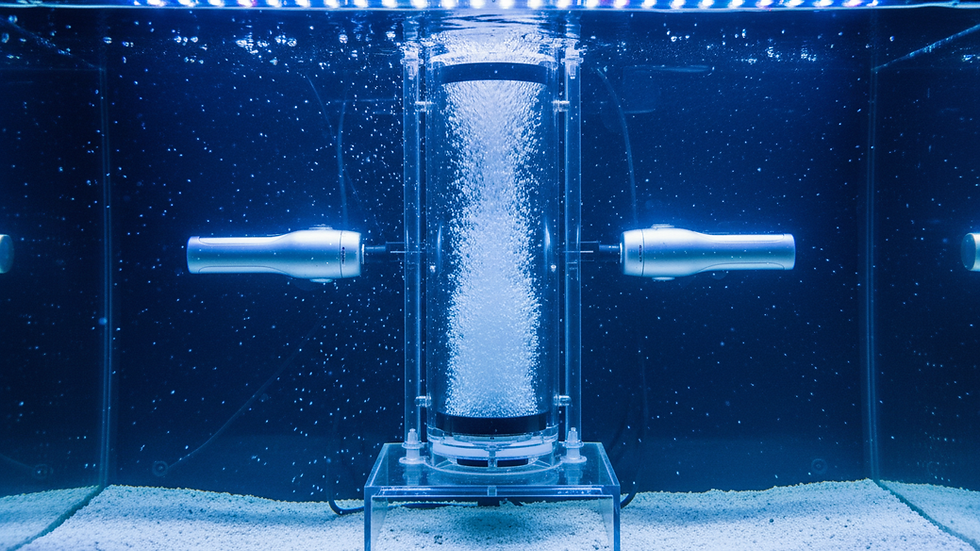Close-up view of a reef tank filtration system with protein skimmer and powerheads