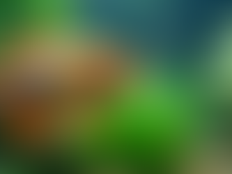 Top Low-Maintenance Freshwater Fish for Custom Aquariums in Chicago