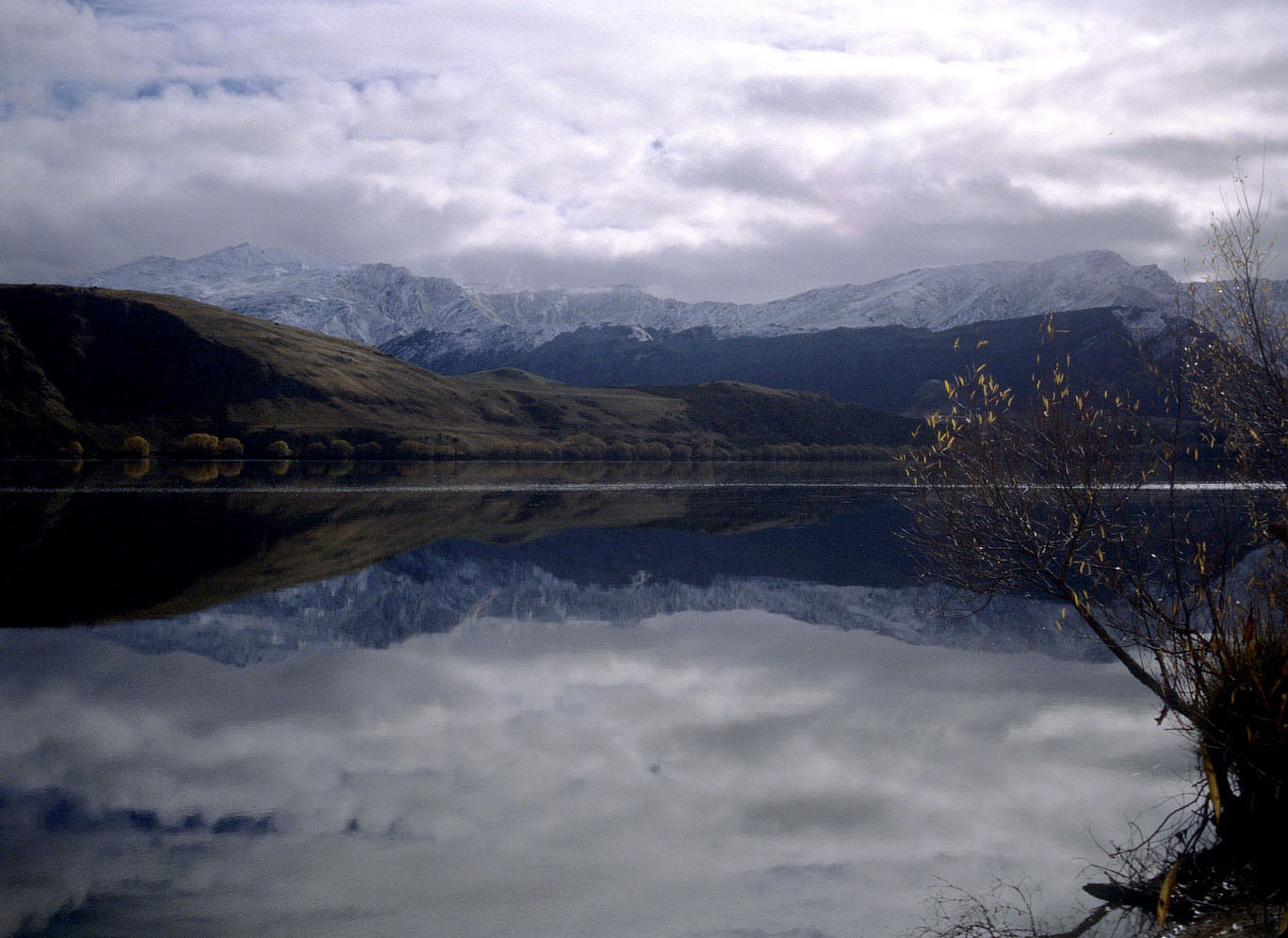 Rex and Chris Julian