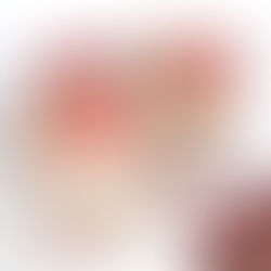 CINNAMON  CHERRY SPICED BREAKFAST PUDDING