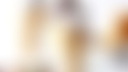 BLUEBERRY CHOCOLATE BARK VANILLA ICE-CREAM