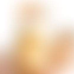 TROPICAL GINGER SPICED BREAKFAST SMOOTHIE