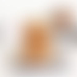 TOASTED COCONUT HAZELNUT DONUTS