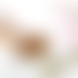 FLAX-MEAL COCONUT SWISS ROLL