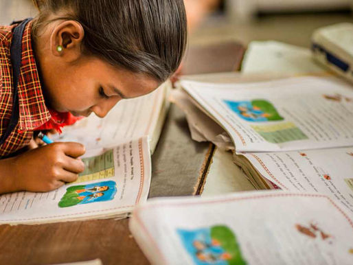 Developing Agricultural Entrepreneurs, Abhyudaya Global Village School Bawangaon