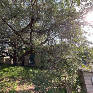 A Naturalist's Landscape