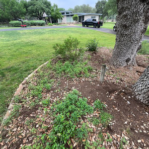 Country Living: A Texas Native Landscape for Wildlife & Serenity