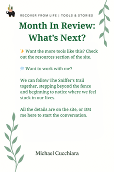 A reflection guide for the month of September, focused on Feeling Curious