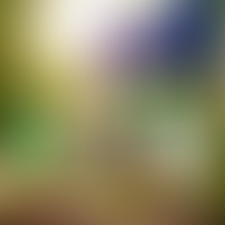 Imballaggi compostabili: regole UE e obblighi per aziende