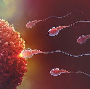Les troubles de la fertilité et ses origines transgénérationnelles