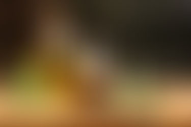 The Role, and Sources, of Fats in Living a Healthy Vegan Life