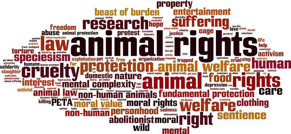 From Animal Welfare to Animal Rights