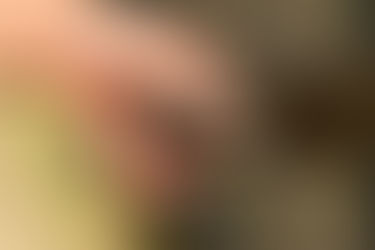 Animal Rights and Human Rights: Why They Are Inextricably Linked