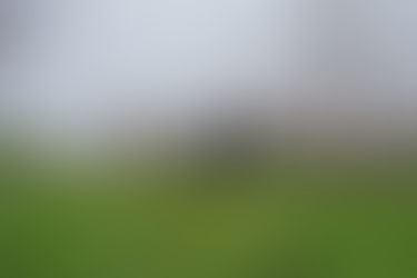 From Suffering to Sanctuary: The Inspiring Story of Vegan Run Animal Sanctuaries