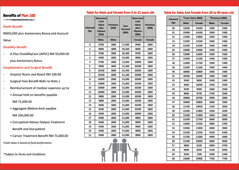 2 Fold Leaflet (pg2)