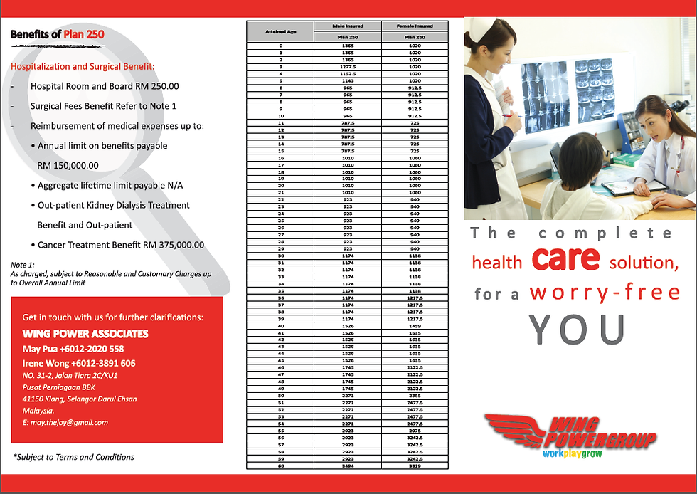 2 Fold Leaflet (pg1)