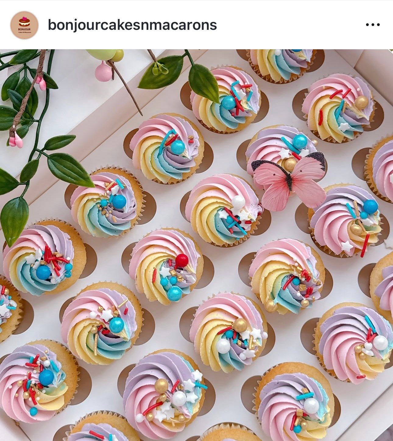 24 x Mini Cupcakes