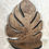 Thumbnail: Monstera Shelf
