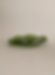 Petal Plate