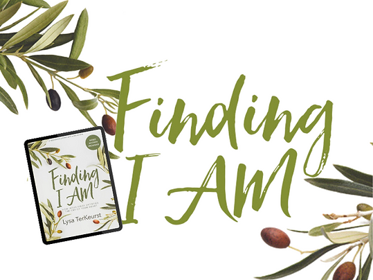 Finding.UConn23.CC (1).png