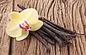 vanilla bean.webp