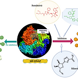 Screenshot 2024-02-25 182056.png