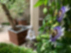 Jardin passiflore