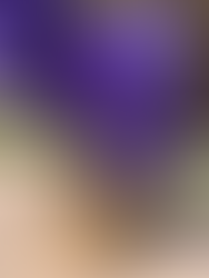 Les fleurs au printemps