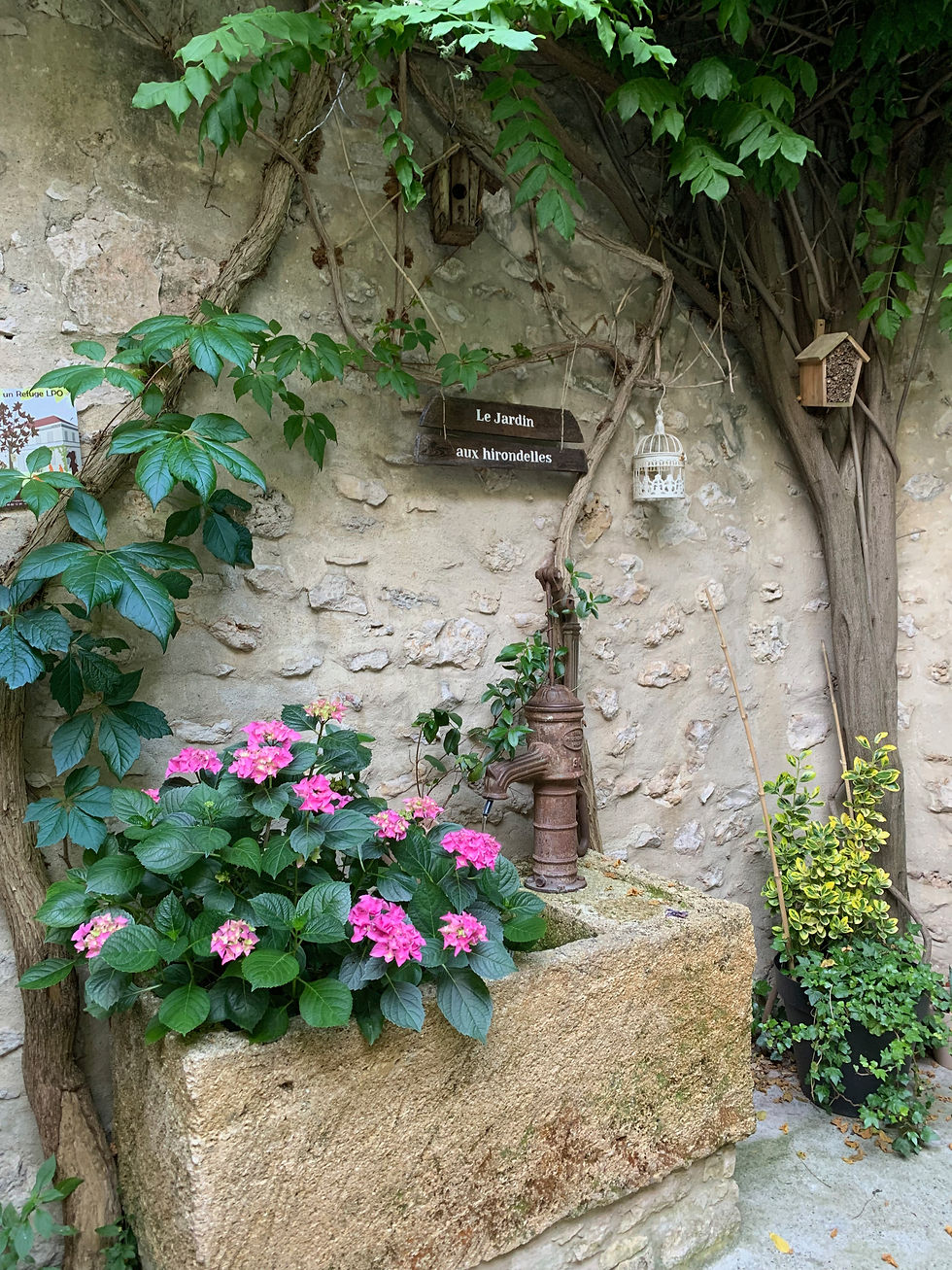 Le jardin aux hirondelles est un refuge LPO
