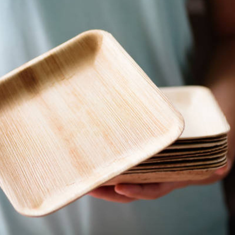 サムネイル： 10" Square Areca Palm leaf plate export quality