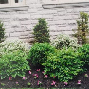 Gardening and Landscaping