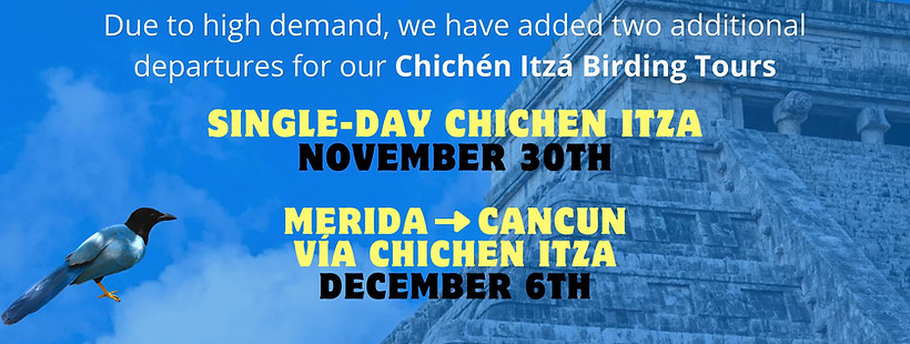 IOC 2026 Chichen Itza Birdin Tours