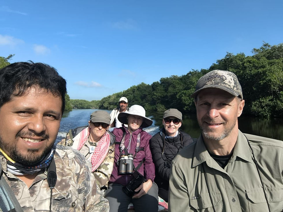 Mamantel river, looking for the Sungrebe
