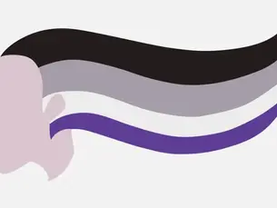 asexuality flag