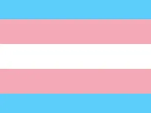 Trans pride flag: blue, pink, and white