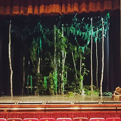 13680868_10209536129587781_793454627613175034_n