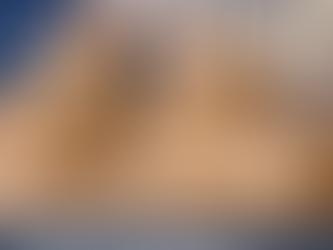 Professional Packers