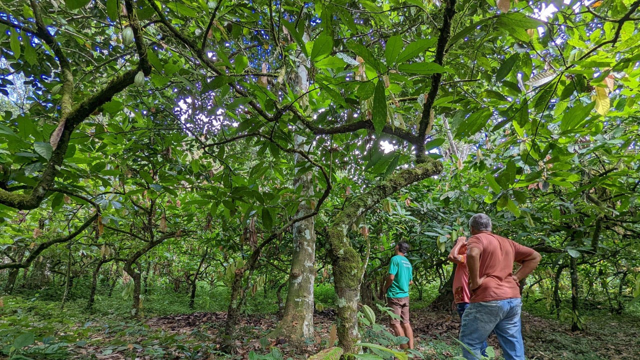 Monthly support a program and organic farming