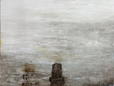 69 ESPEJISMO, OLEO-TELA, 30 X 40 CM. 202